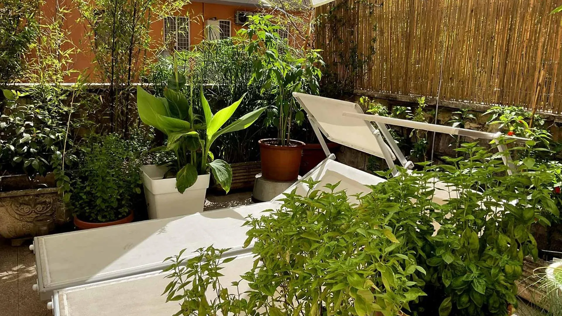 Apartment La Terrazza Verde Rome Italy